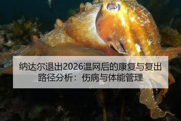 纳达尔退出2026温网后的康复与复出路径分析：伤病与体能管理