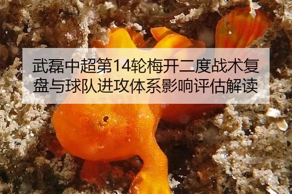 武磊中超第14轮梅开二度战术复盘与球队进攻体系影响评估解读